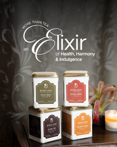 Elixir