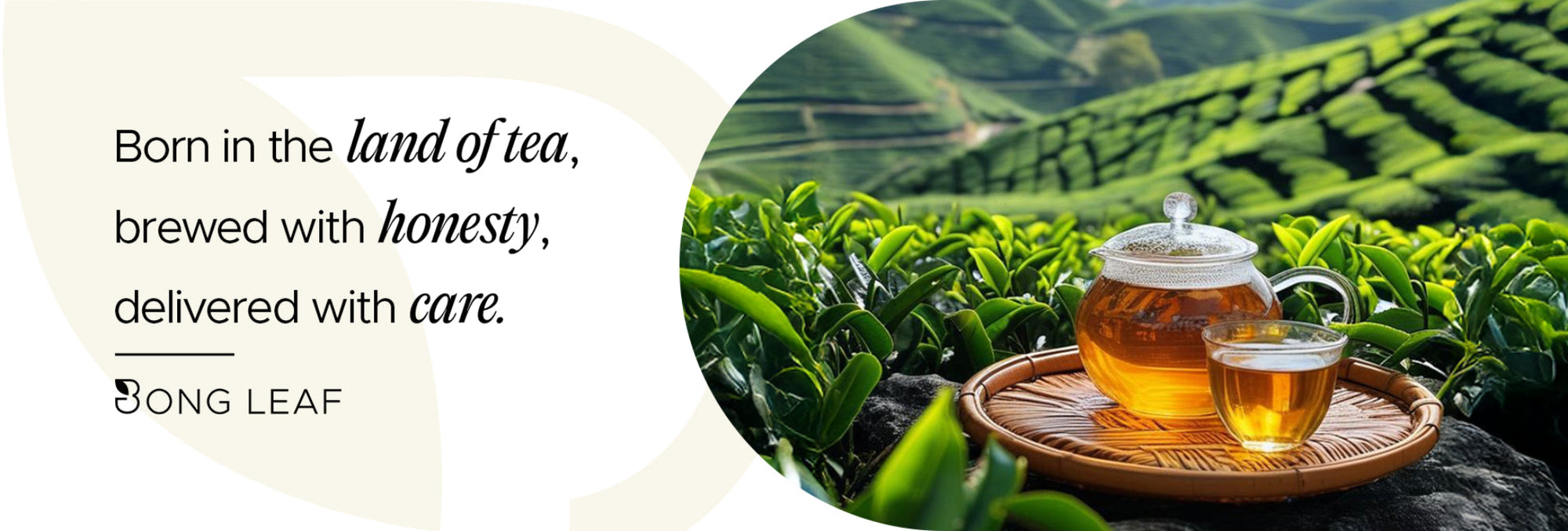 land of Darjeeling tea banner image